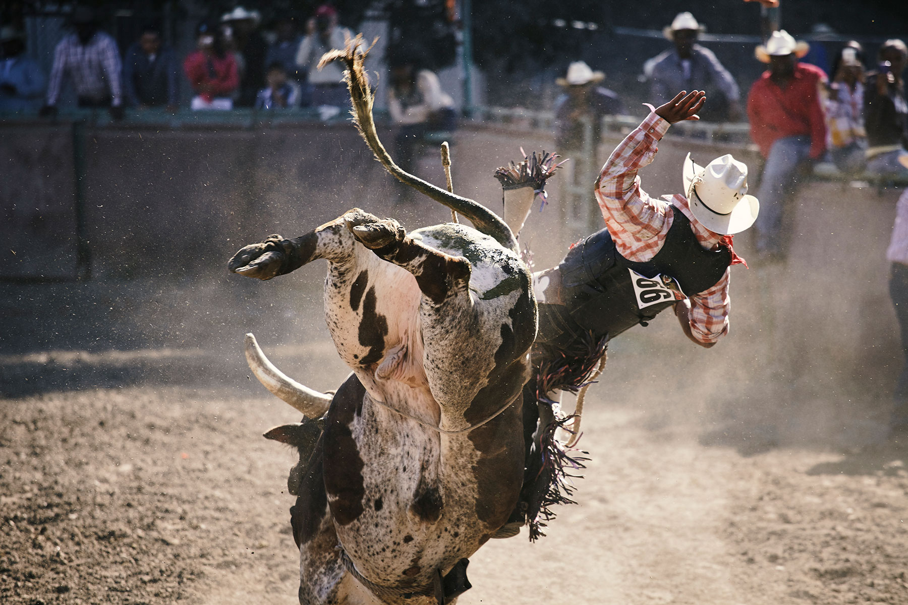 Matt Hoover Photography Bill Pickett Rodeo 