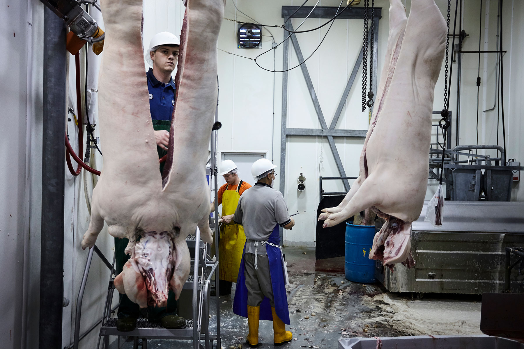 Matt Hoover Photography Kansas City Missouri  Hanging Hog 